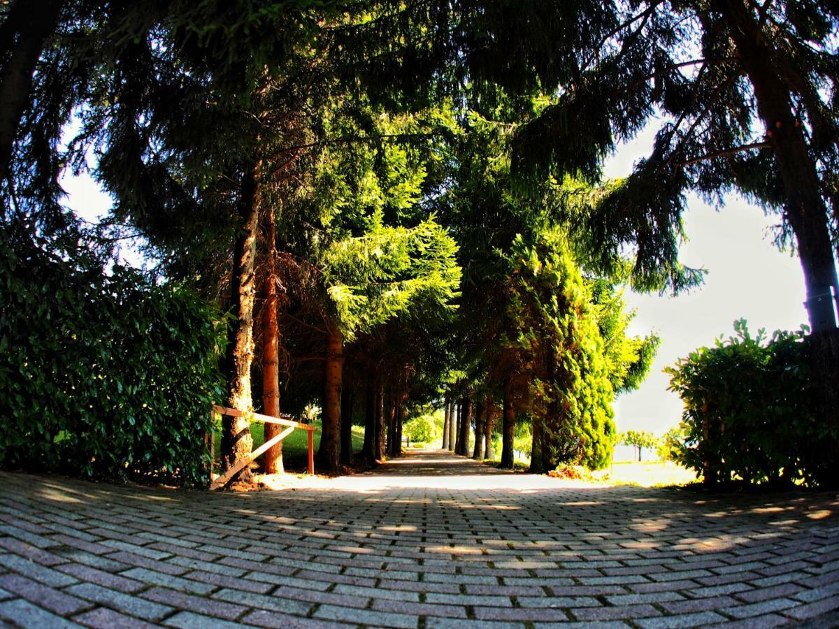 Casa Vacanza Pratolungo Villa Zogno Dış mekan fotoğraf